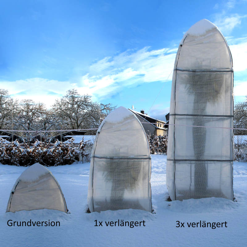Winterschutzzelt für große Palmen und Olivenbäume