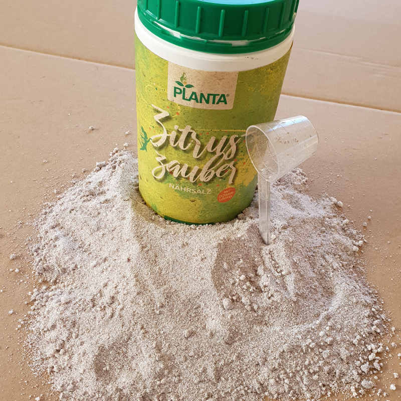 Planta Zitruszauber in der Originaldose