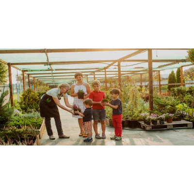 Beratung - Der Palmenstadl - Beratung