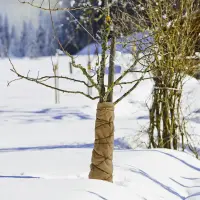 Winterflies 3 x1,5mtr. 70g/m²