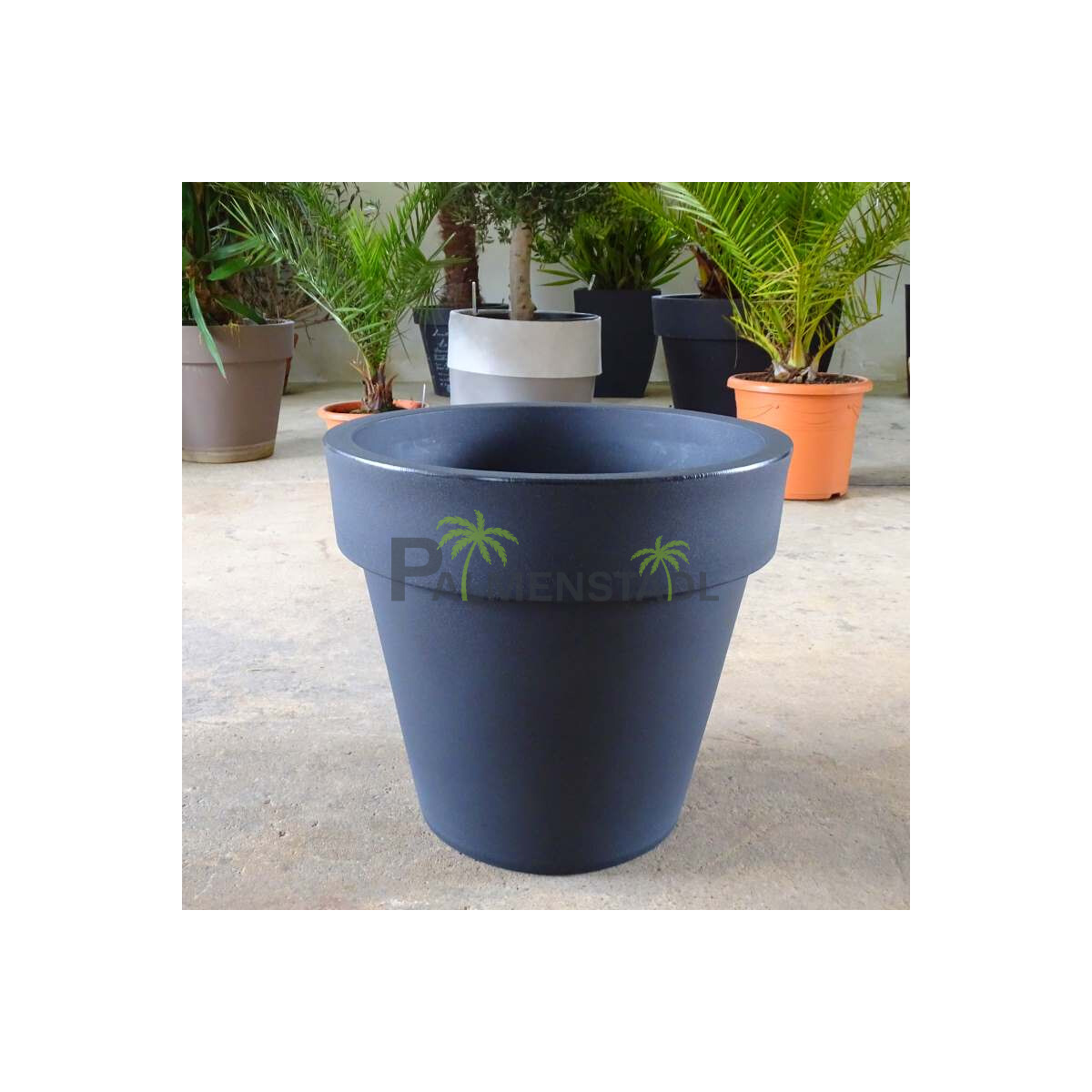 TeraPlast Topf Standard ONE "Anthra box