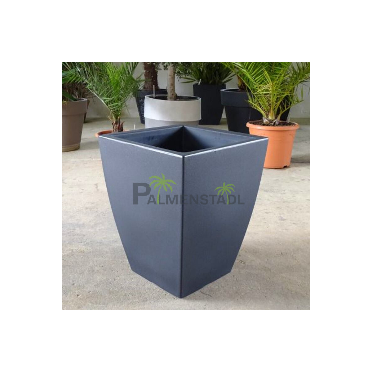 TeraPlast Topf Veneto Eckig "Anthra box