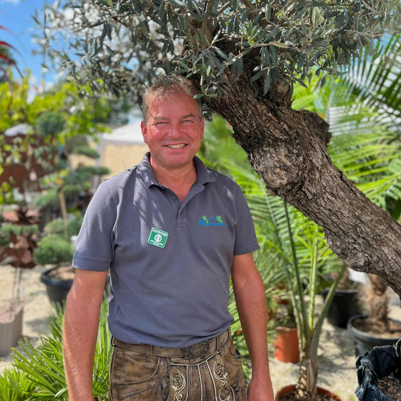 Chef vom Palmenstadl in Pfakofen – Beratung für mediterrane und exotische Pflanzen